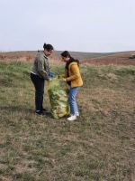 IMG-20221104-WA0006
